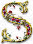 Softhands Logo